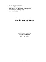 Khóa luận thiết kế hệ thống dẫn động vít tải dựng để tải xi măng rời, năng suất 8m3 một h 