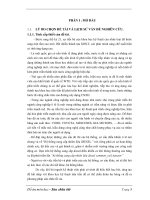 Khóa luận hệ thống cung cấp nhiên liệu diesel common rail injecter 