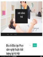 https---doisongtre_wordpress_com-2016-11-18-dia-chi-dao-tao-phun-xam-nghe-thuat-chat-luong-tai-ha-noi-