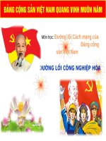 Bài thuyết trình đường lối cách mạng của ĐCSVN  Chương 4: Đường lối công nghiệp hóa