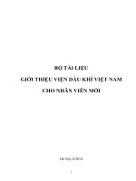 BỘ TÀI LIỆU GIỚI THIỆU VIỆN DẦU KHÍ VIỆT NAM CHO NHÂN VIÊN MỚI