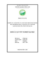 Nghiên cứu ảnh hưởng của chất kích thích sinh trưởng đến tình hình ra hoa và đậu quả của cam sành tại huyện Hàm Yên - tỉnh Tuyên Quang