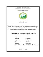 Nghiên cứu ảnh hưởng của liều lượng phân hữu cơ vi sinh NTT đến sinh trưởng và năng suất của khoai lang vụ Đông năm 2014 tại trường Đại Học Nông Lâm Thái Nguyên.