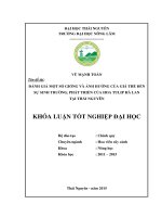 Đánh giá một số giống và ảnh hưởng của giá thể đến sự sinh trưởng, phát triển của hoa Tulip Hà lan tại Thái Nguyên