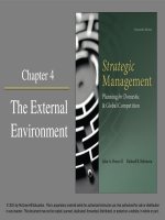 Strategic management planning for domestic and global competition 14th ed  pearce robinson chapter 4 