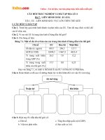 Câu hỏi trắc nghiệm và bài tập Địa lý lớp 11: EU - Liên minh khu vực lớn trên thế giới