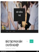 https---doisongtre_wordpress_com-2016-11-20-dao-tao-phun-xam-chuyen-nghiep-