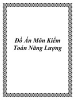 Tiểu luận môn kiểm toán năng lượng 