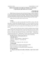 PHONG TRÀO MỖI LÀNG MỘT SẢN PHẨM CỦA NHẬT BẢN VÀ HƯỚNG ĐI CHO NÔNG SẢN TÂY BẮC