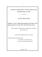 NGHIÊN CỨU QUÁ TRÌNH HOLE-BURNING PHỔ BỀN VỮNG TRONG MỘT SỐ VẬT LIỆU THỦY TINH ÔXIT PHA TẠP Eu