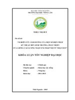 Nghiên cứu ảnh hưởng của một số biện pháp kỹ thuật đến sinh trưởng, phát triển của giống cao lương ngọt EN6 nhập nội từ Nhật Bản.