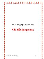 Tiểu luận chi tiết dạng càng 