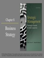 Strategic management planning for domestic and global competition 14th ed  pearce robinson chapter 8 