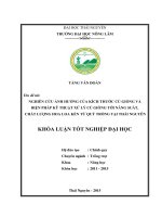Nghiên cứu ảnh hưởng của kích thước củ giống và biện pháp kỹ thuật xử lý củ giống tới năng suất, chất lượng hoa loa kèn Tứ Quý trồng tại Thái nguyên