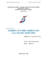 Tiểu luận nghiên cứu điều khiển con lắc ngược tịnh tiến 