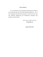 Chính sách tạo động lực cho nguồn nhân lực ngành bảo hiểm xã hội tỉnh ninh bình merged 