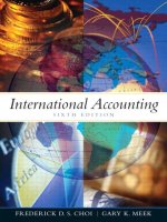 International accounting 6e frederick choi and gary meek