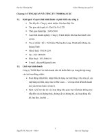 Báo cáo khoa thương mại quốc tế đại học thương mại công ty trách nhiệm hữu hạn Đại Các