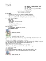 Giáo án mĩ thuật lớp 3 theo chương trình VNEN