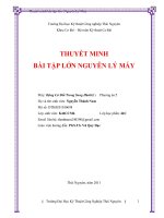 Bài tập lớn động cơ đốt trong song hành 