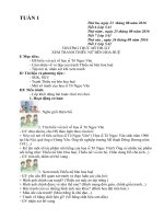 Giáo án mĩ thuật lớp 5 theo chương trình VNEN