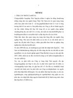 Sử dụng nguồn nhân lực của công ty CP gang thép thái nguyên LATS đại học lao động xã hội 