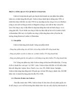 Tình huống Cấu trúc tổ chức của Unilever