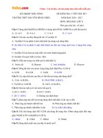 Đề kiểm tra 1 tiết học kì 1 môn Hóa học lớp 11 trường THPT Nguyễn Đình Chiểu, Đăk Nông năm học 2016 - 2017