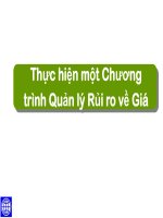 Thực hiện một Chương trình Quản lý Rủi ro về Giá