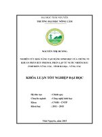 Nghiên cứu khả năng tạo màng sinh học của chủng vi khuẩn phân hủy phenol phân lập từ nước nhiễm dầu ở bờ biển vũng tàu, tỉnh bà rịa   vũng tàu