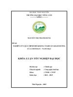 Nghiên cứu quá trình đối kháng vi khuẩn gram dương của Chitosan – Nano bạc