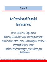 Fundamental of financial management 13th ed brigham houston chapter 01