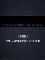 Managing information systems  7th edition brow ch08 