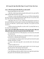 Đề cương ôn tập hiến pháp và tổ chức nhà nước