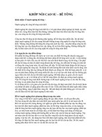 TÀI LIỆU HƯỚNG DẪN THI CÔNG: KHỚP NỐI CAO SU  BÊ TÔNG