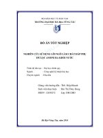 Nghiên cứu sử dụng lõi ngô làm chất hấp phụ để lọc amoni ra khỏi nước 