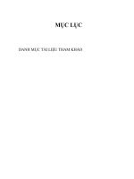 Bài tập học kỳ Luật Hành chính