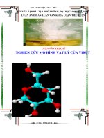 Mô hình vật lý của Virut, W20, E50