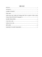 Phân tích trách nhiệm bồi thường thiệt hại do người có thẩm quyền của cơ quan tiến hành tố tụng gây ra