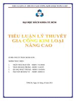Tiểu luận gia công kim loại nâng cao 