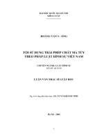 Tội sử dụng trái phép chất ma túy theo pháp luật hình sự việt nam 
