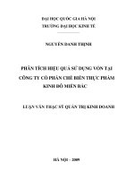 Phân tích hiệu quả sử dụng vốn tại công ty cổ phần chế biến thực phẩm kinh đô miền bắc 