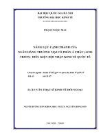 Năng lực cạnh tranh của ngân hàng thương mại cổ phần á châu ( ACB ) trong điều kiện hội nhập kinh tế quốc tế 