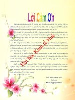 Thực trạng và giải pháp nâng cao hoạt động xuất khẩu hàng may mặc của công ty cổ phần may xuất khẩu huế (tt)