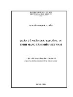 Quản lý nhân lực tại công ty TNHH mạng tầm nhìn việt nam 