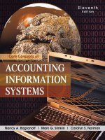 Core concepts of accounting information systems 7e