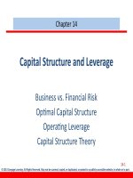 Fundamental of financial management 13th ed brigham houston chapter 014
