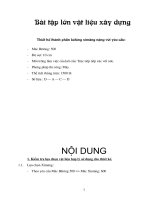 BÀI tập lớn vật LIỆU xây DỰNG THIẾT kế THÀNH PHẦN bê TÔNG XI MĂNG NẶNG