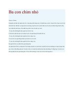 Truyện kể mầm non ba con chim nhỏ 