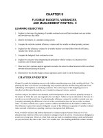 Test bank accounting management 11e chapter 08 FLEXIBLE BUDGETS, VARIANCES, 